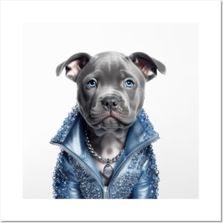 Staffy Fashion Posters and Art